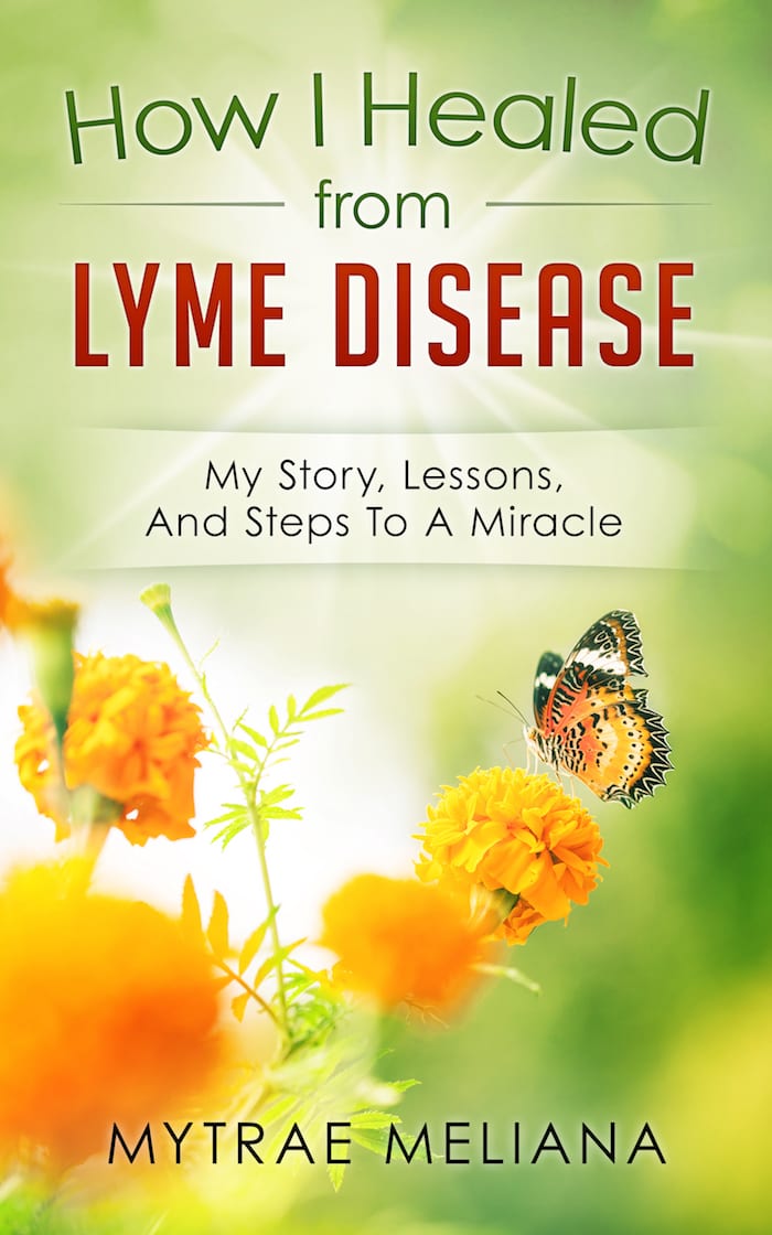 Announcing my new book “How I Healed From Lyme Disease”