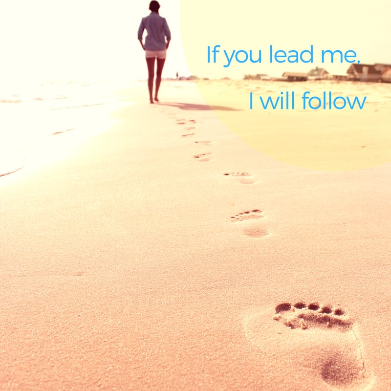 If you lead me, I will follow