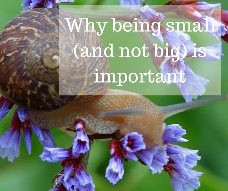 Why being small (and not big) is important